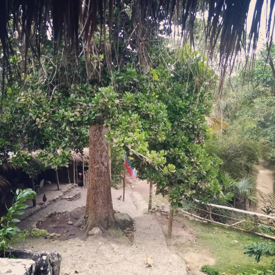 La Cima Tayrona Hotell Santa Marta  Eksteriør bilde