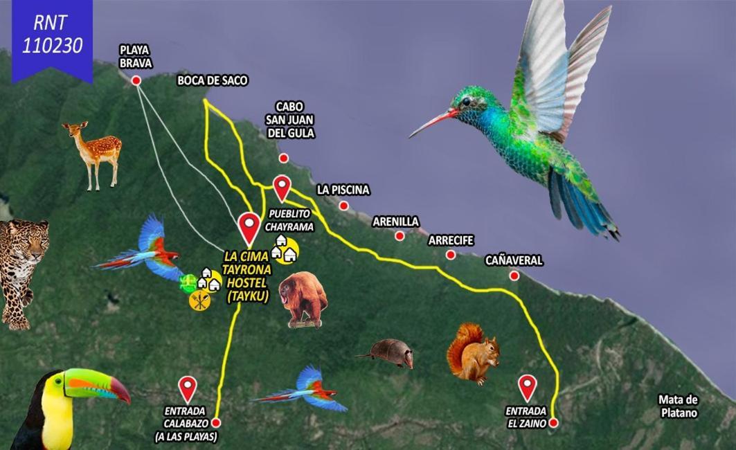 La Cima Tayrona Hotell Santa Marta  Eksteriør bilde