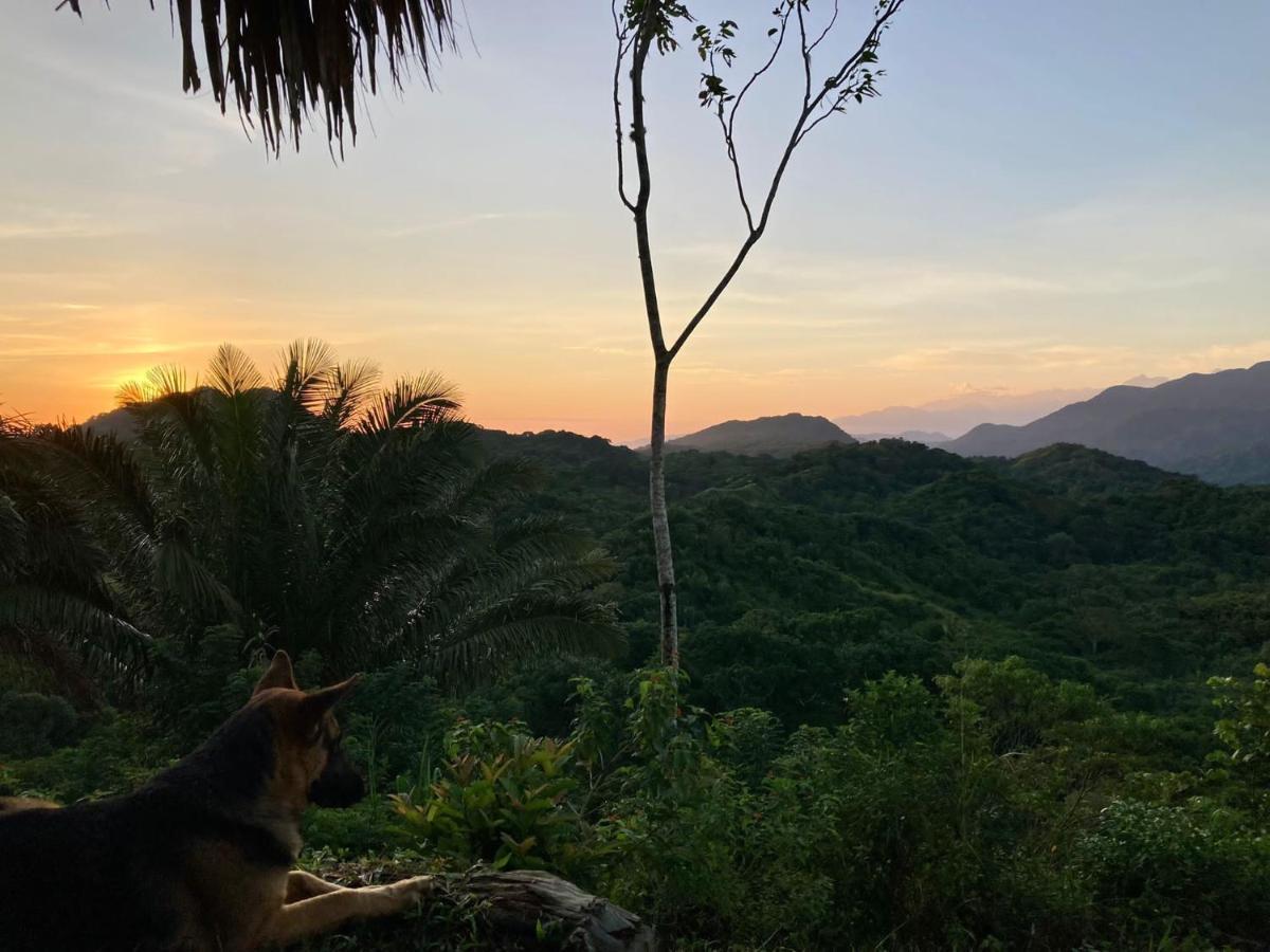 La Cima Tayrona Hotell Santa Marta  Eksteriør bilde