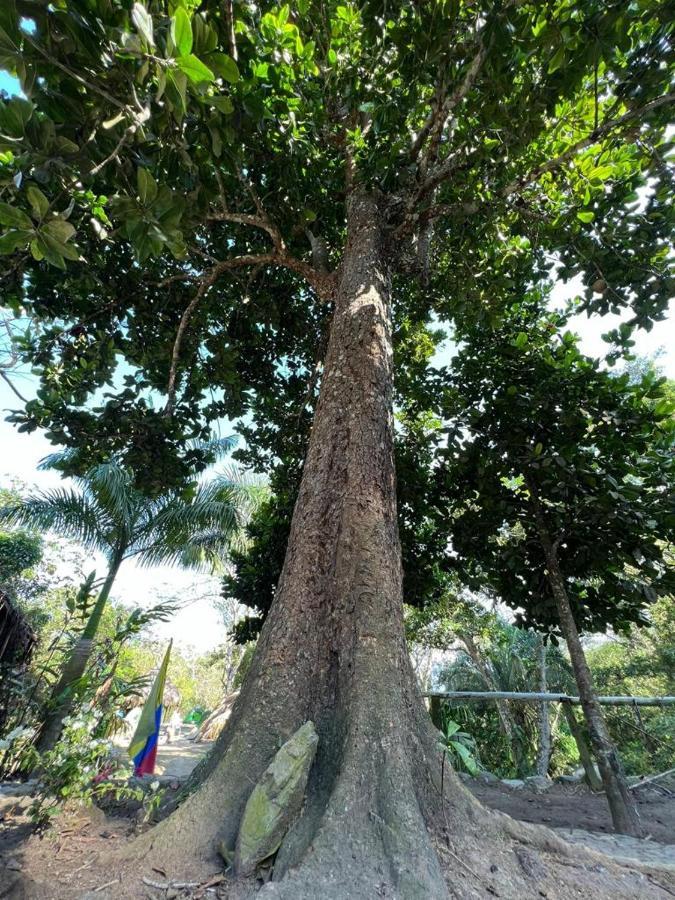 La Cima Tayrona Hotell Santa Marta  Eksteriør bilde